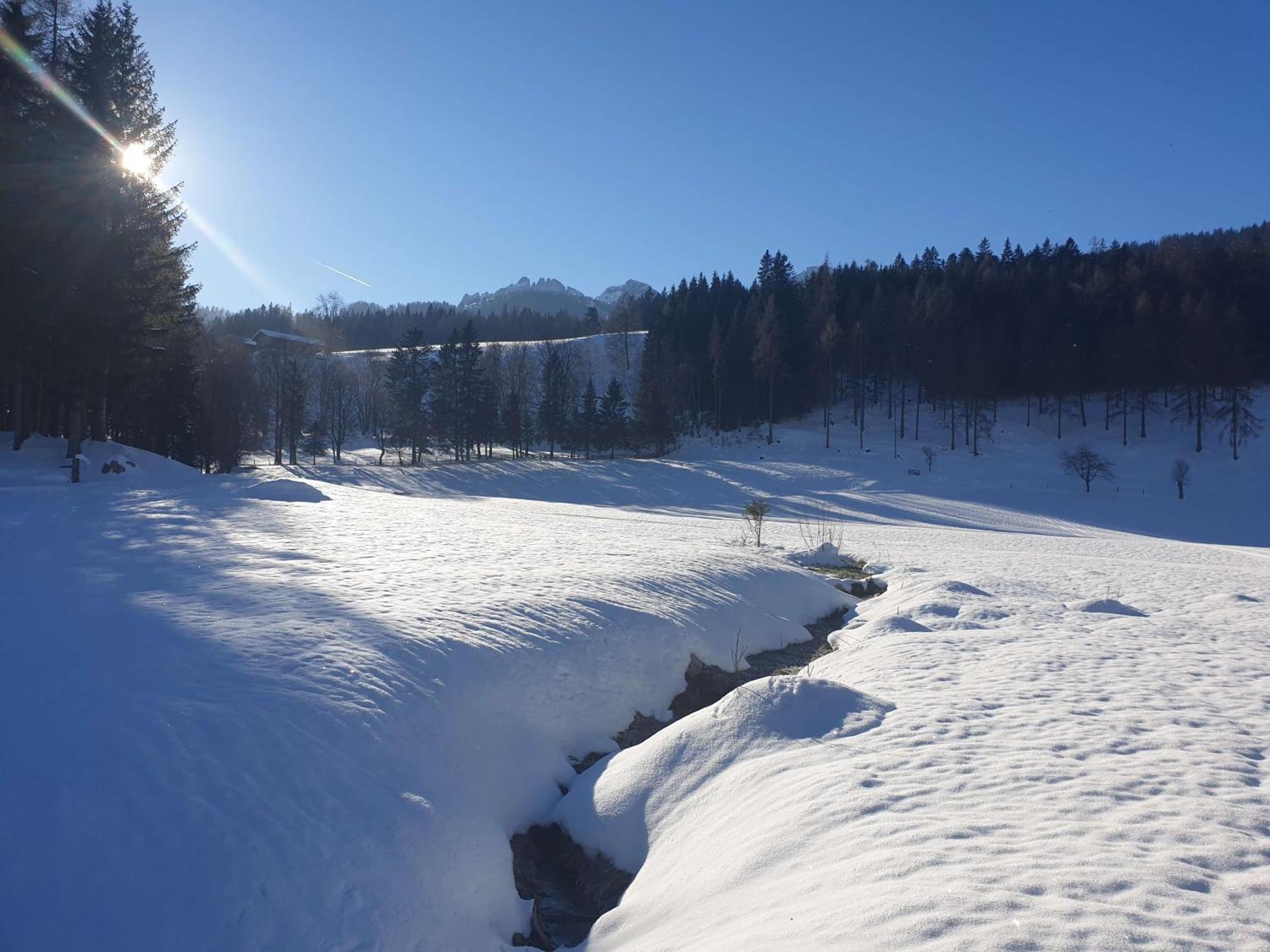 Mountain Residence Riesgut Werfen Bagian luar foto